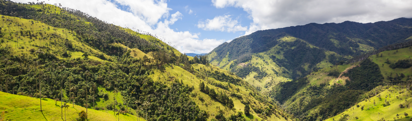 Montañas verdes de Colombia