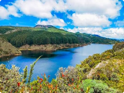 Embalse rodeado de bosque y montañas.